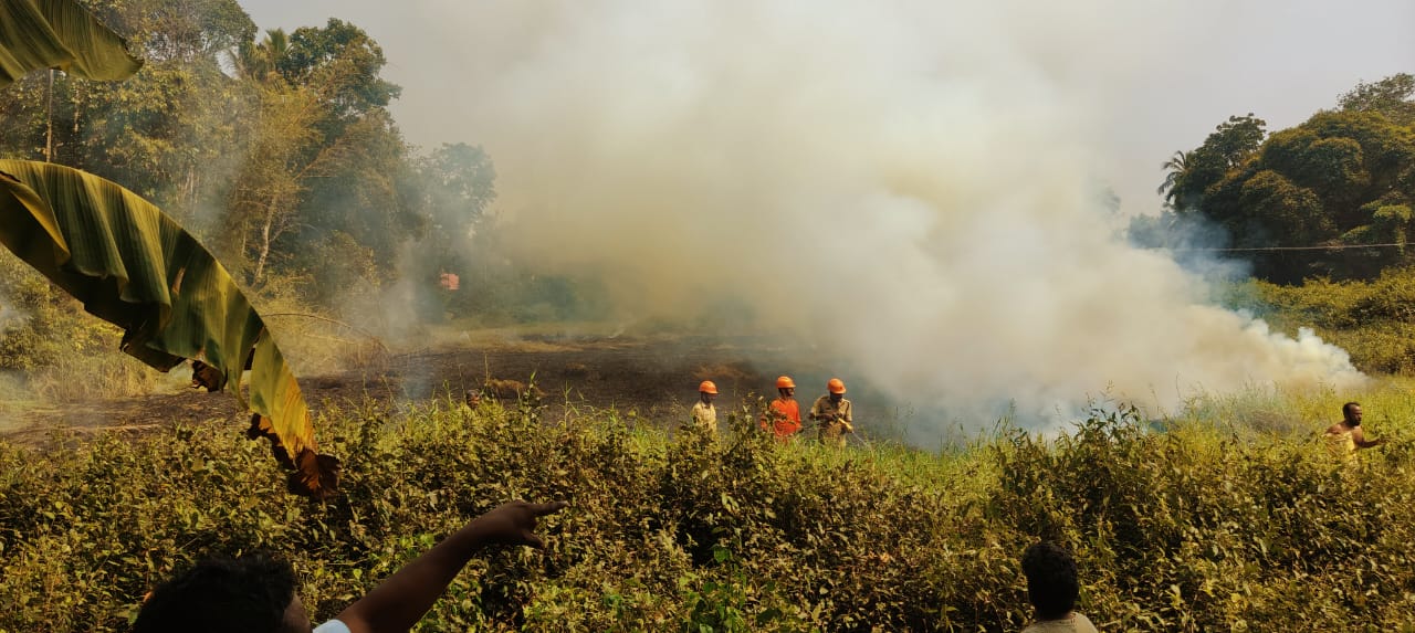 പാണ്ടനാട് വന്മഴിയിൽ പാടശേഖരത്തിന് തീപിടിച്ചു; ഫയർഫോഴ്സിന്റെ ഇടപെടലിൽ വൻ ദുരന്തം ഒഴിവായി